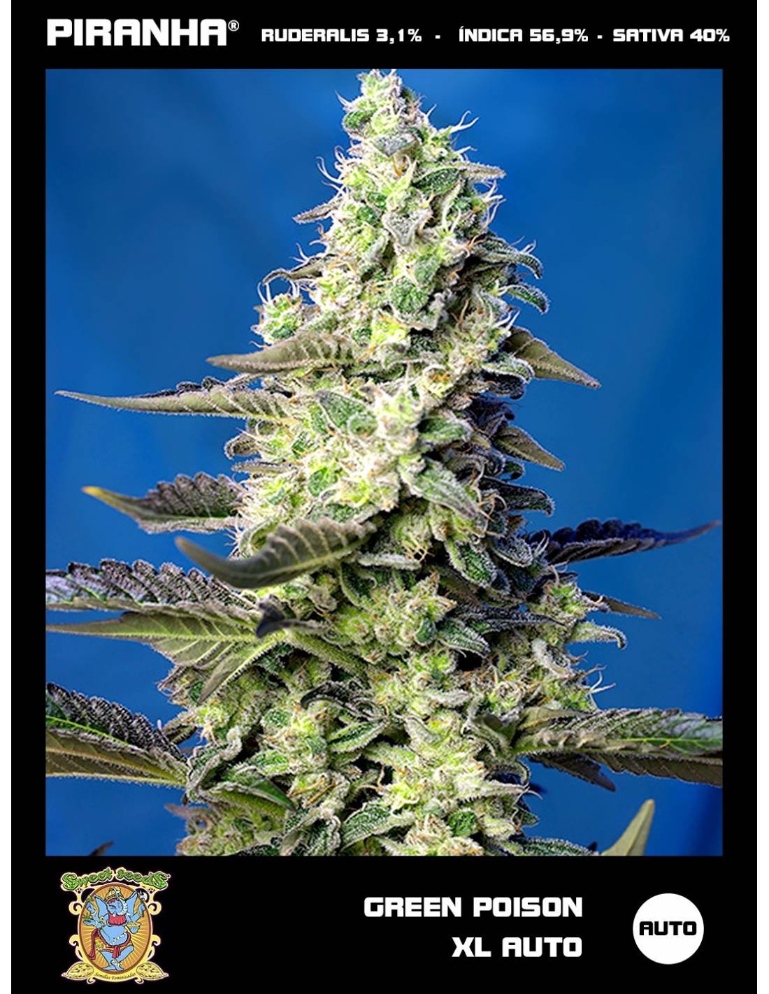 Green Poison XL Auto (3+1u)