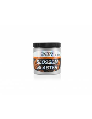 Blossom Blaster (20gr/130gr)
