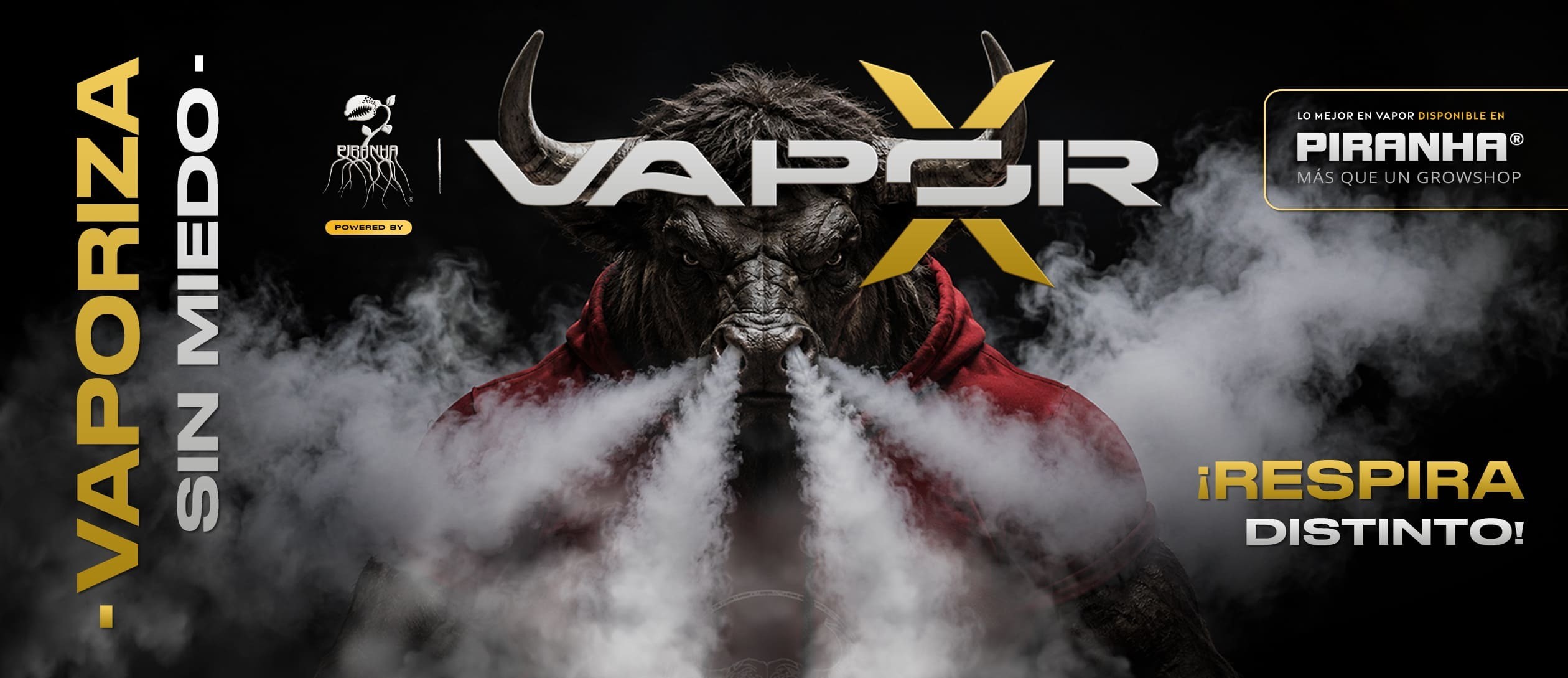 VAPORX DESKTOP