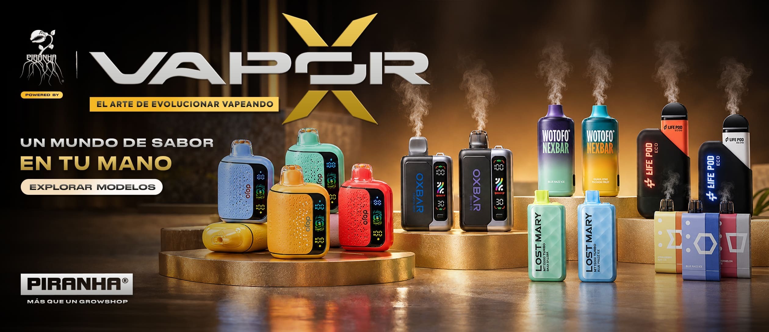 VAPORX DESKTOP