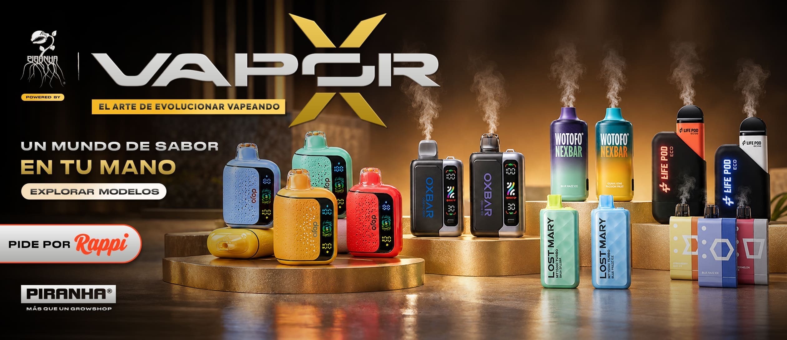 VAPORX DESKTOP